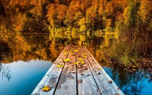 Nature, Landscape, Trees, Pier, Wooden, Surface, Forest, Water, Lake, Reflection, Fall, Leaves wallpaper thumb