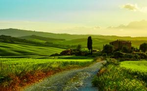 Italy, Tuscany, beautiful landscape, fields, road, grass, trees, house wallpaper thumb