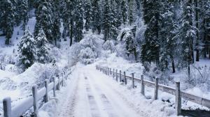 Snowy, Snow, Winter, Trees, Fence, Path, Nature wallpaper thumb