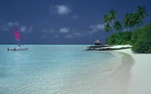 Beach, Catamaran, Palm Trees, Sand, Summer, Landscape, Sea, Nature wallpaper thumb