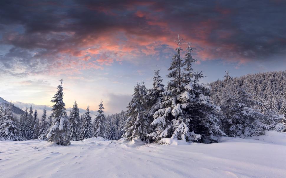 Snow, sunrise, clouds, winter, trees, forest wallpaper,Snow HD wallpaper,Sunrise HD wallpaper,Clouds HD wallpaper,Winter HD wallpaper,Trees HD wallpaper,Forest HD wallpaper,2560x1600 wallpaper