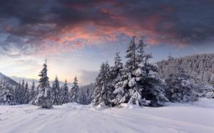 Snow, sunrise, clouds, winter, trees, forest wallpaper thumb