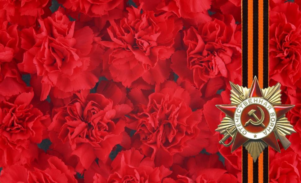 May 9, holiday, victory, cloves, st george ribbon, memory, star wallpaper,may 9 wallpaper,holiday wallpaper,victory wallpaper,cloves wallpaper,st george ribbon wallpaper,memory wallpaper,star wallpaper,1680x1024 wallpaper