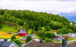 Norway, town, mountains, houses, trees, grass wallpaper thumb