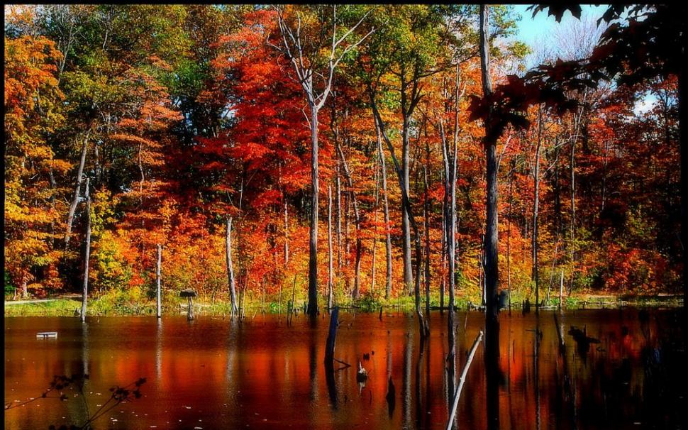 Autumn On Concord Pond wallpaper,trees HD wallpaper,ponds HD wallpaper,fall HD wallpaper,nature HD wallpaper,lakes HD wallpaper,autumn HD wallpaper,nature & landscapes HD wallpaper,1920x1200 wallpaper