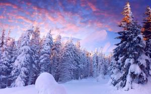 Winter, snow, trees, mountains, sky, clouds, cold wallpaper thumb