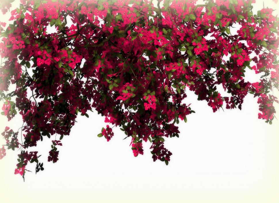 Arches of Red Flowers wallpaper,lovely HD wallpaper,resources HD wallpaper,creative-pre--made HD wallpaper,softness-beauty HD wallpaper,nature HD wallpaper,leaves HD wallpaper,beautiful HD wallpaper,plants HD wallpaper,flowers HD wallpaper,color HD wallpaper,2880x2100 wallpaper