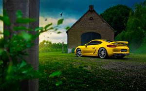 Porsche Cayman GT4 yellow supercar, house, tree, grass wallpaper thumb