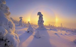 Winter Snow Sunset Free Pictures wallpaper thumb