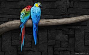 Parrot Pair wallpaper thumb