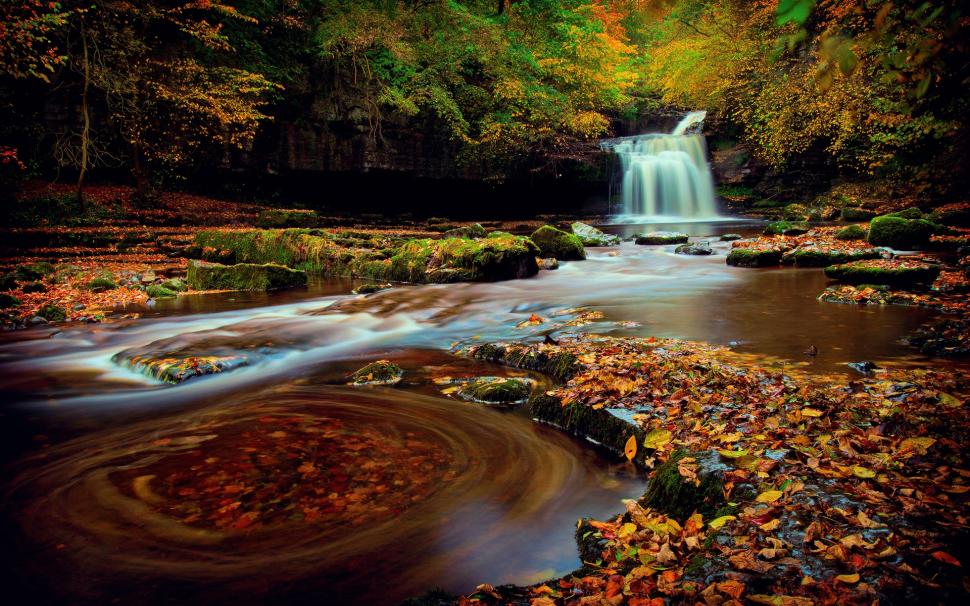 Northern England, Yorkshire, forest, waterfall, foliage, autumn, water wallpaper,Northern HD wallpaper,England HD wallpaper,Yorkshire HD wallpaper,Forest HD wallpaper,Waterfall HD wallpaper,Foliage HD wallpaper,Autumn HD wallpaper,Water HD wallpaper,1920x1200 wallpaper