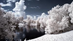 Snow-Covered Trees & Pond HD wallpaper thumb