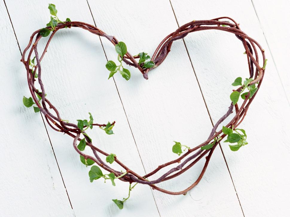 Love heart-shaped branches wallpaper,Love wallpaper,Heart wallpaper,1600x1200 wallpaper