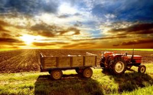 Typical tractor outside his field wallpaper thumb