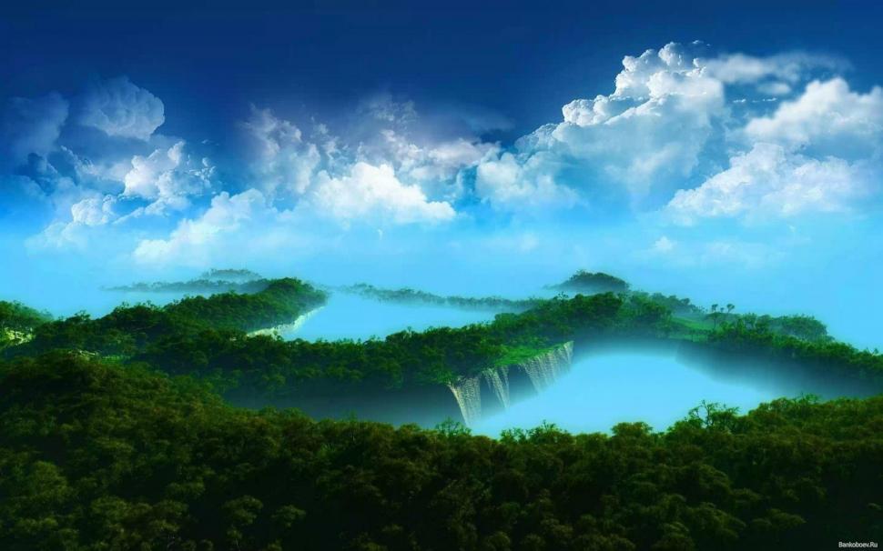Amazing Forest Scenary wallpaper,nature HD wallpaper,2560x1600 wallpaper