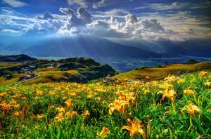 Mountains Flowers Lilies Village Clouds Free wallpaper thumb