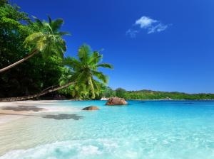 Tropical paradise, sunshine, beach, coast, sea, palm trees wallpaper thumb