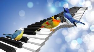 Bird Song wallpaper thumb