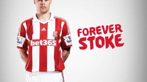Stoke City, Sport, Football, Team, Players wallpaper thumb