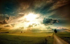 Plains landscape, grass, fields, road, tree, sky clouds, sun rays wallpaper thumb