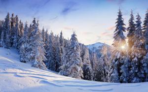 Nature Landscapes Trees Forest Mountains Winter Snow Seasons Sun Sunlight Sky Clouds White Cold Best wallpaper thumb