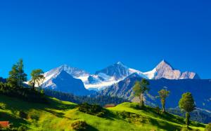 Switzerland, Alps, mountains, green grass, trees, blue sky wallpaper thumb
