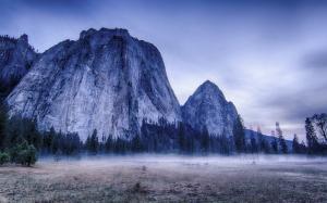 Yosemite National Park, USA, trees, mountains, fog, morning wallpaper thumb