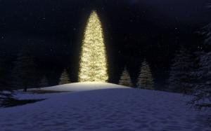 Christmas tree in the snow wallpaper thumb