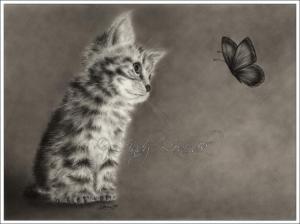 new wonders by zindy animal art butterfly drawing feline kitten NEW Pet HD wallpaper thumb