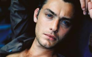 Handsome Jude Law wallpaper thumb