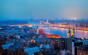 Hungary, Budapest, city, night, houses, river, bridge, lights wallpaper thumb