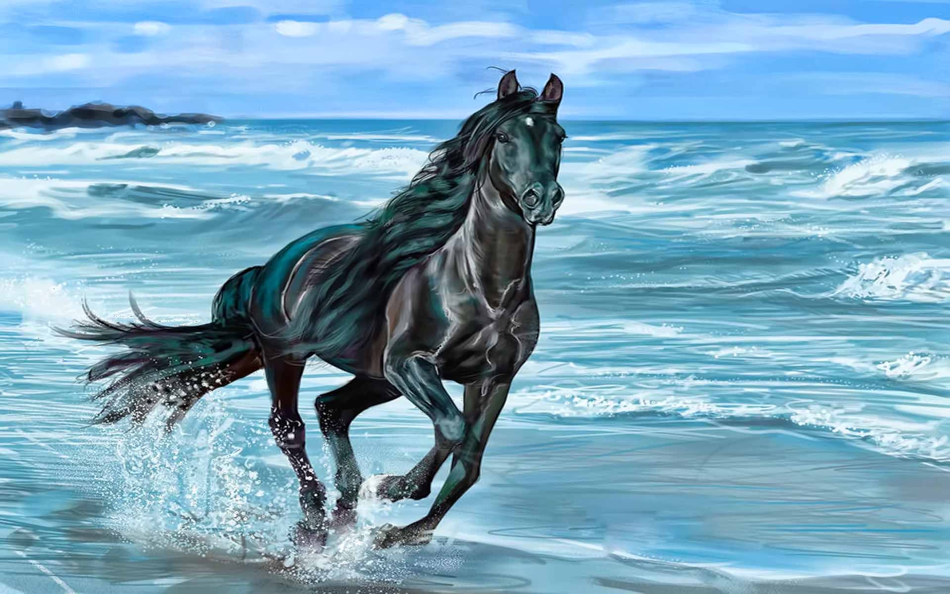 Running horse Animals Beach beauty nature Sea wave HD wallpaper