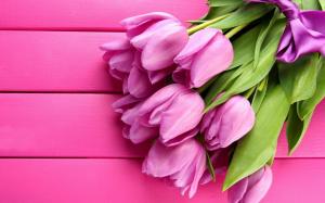 Flowers Spring Pink Tulips wallpaper thumb