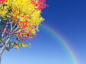Colorful Tree Rainbow wallpaper thumb