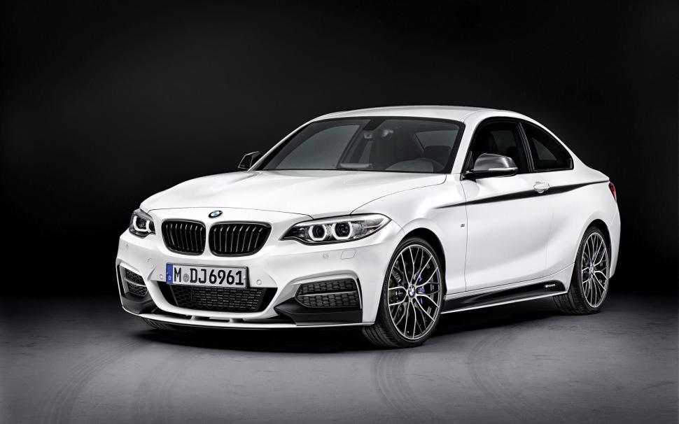2014 BMW 2 Series Coupe M Performance wallpaper,coupe HD wallpaper,series HD wallpaper,performance HD wallpaper,2014 HD wallpaper,cars HD wallpaper,2560x1600 wallpaper