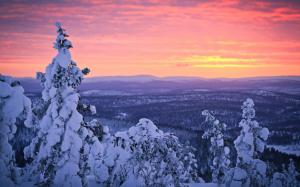 Finland, Lapland, winter snow, forest, sunset, sky wallpaper thumb