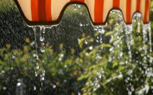 Rain HD wallpaper thumb