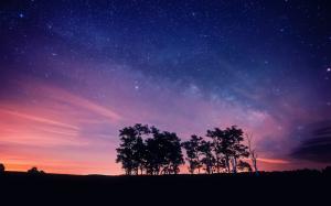 Purple night sky, stars, trees, silhouettes wallpaper thumb