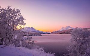 Norway, Scandinavian Mountains, lake, winter, thick snow, trees wallpaper thumb