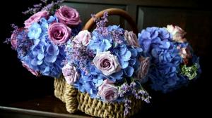 Basket full of flowers wallpaper thumb