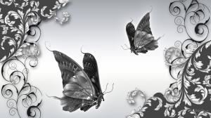 luxury of sliver butterflies butterfly Firefox Persona GRAY shine silver sophisticated sophisticatio HD wallpaper thumb