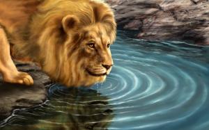 Lion Drinking Water wallpaper thumb