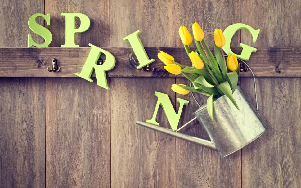 Spring Tulips Watering wallpaper,spring wallpaper,tulips wallpaper,watering wallpaper,1680x1050 wallpaper