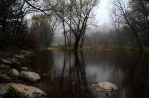 Fog Forest Lake Autumn Stones Image Download wallpaper thumb