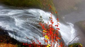 Waterfalls Through Autumn Leaves wallpaper thumb