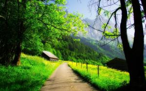 Beautiful spring, mountain, house, trees, road, green wallpaper thumb