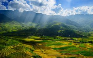 Vietnam, Yen Bai Province, beautiful scenery, valley, fields wallpaper thumb