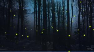 Firefly Nights wallpaper thumb