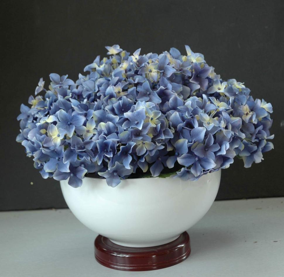 Blue Hydrangea wallpaper,hydrangea HD wallpaper,blue HD wallpaper,flowers HD wallpaper,3d & abstract HD wallpaper,1932x1892 wallpaper