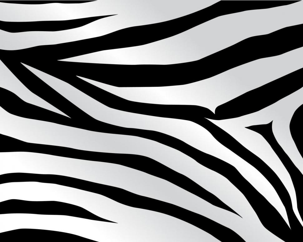 Animals, Zebra, Skin, Black, Wavews, Lines, Abstract wallpaper,animals wallpaper,zebra wallpaper,skin wallpaper,black wallpaper,wavews wallpaper,lines wallpaper,abstract wallpaper,1280x1024 wallpaper